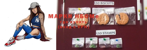 бошки Аркадак